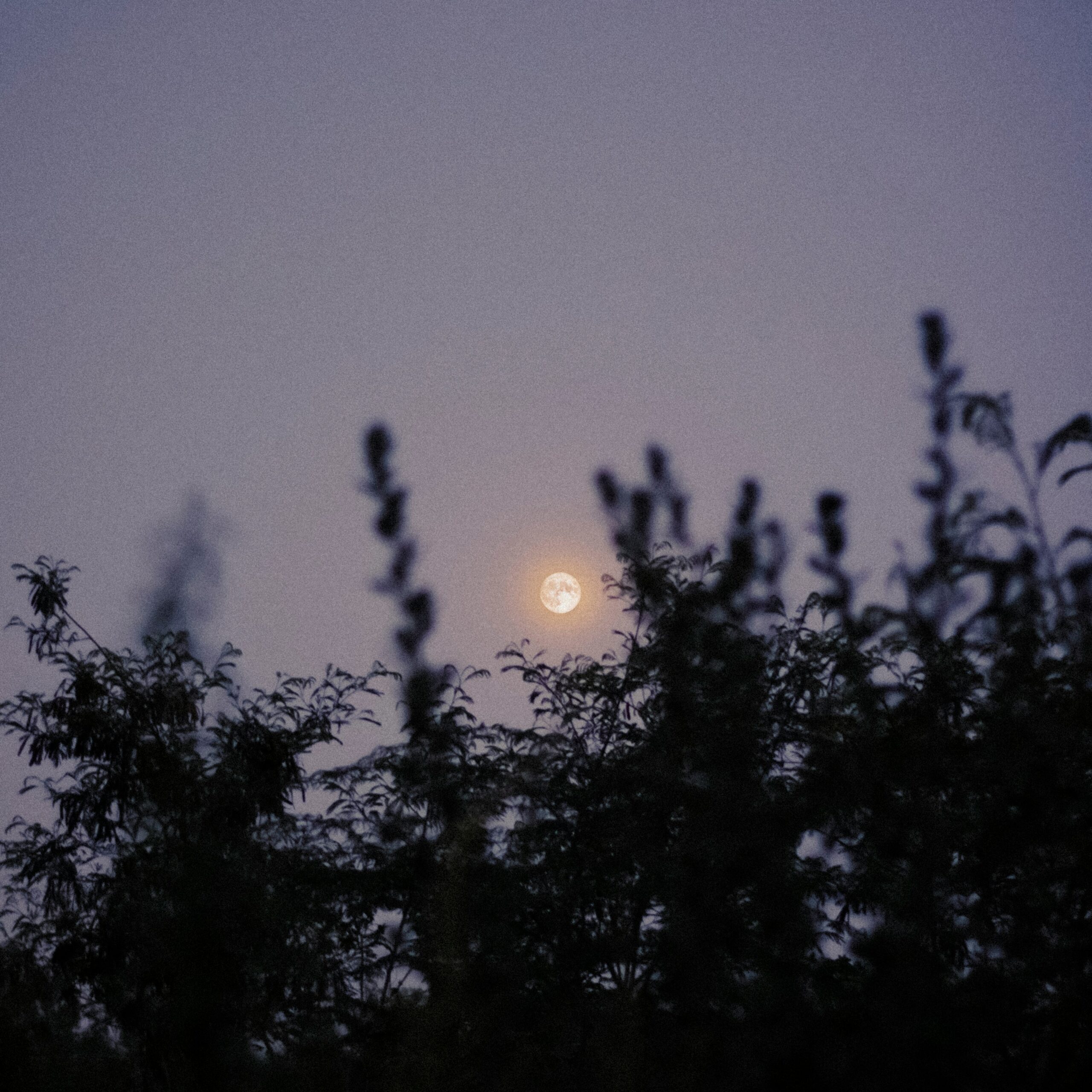 rishi-popat-h1D_q66Zppc-unsplash